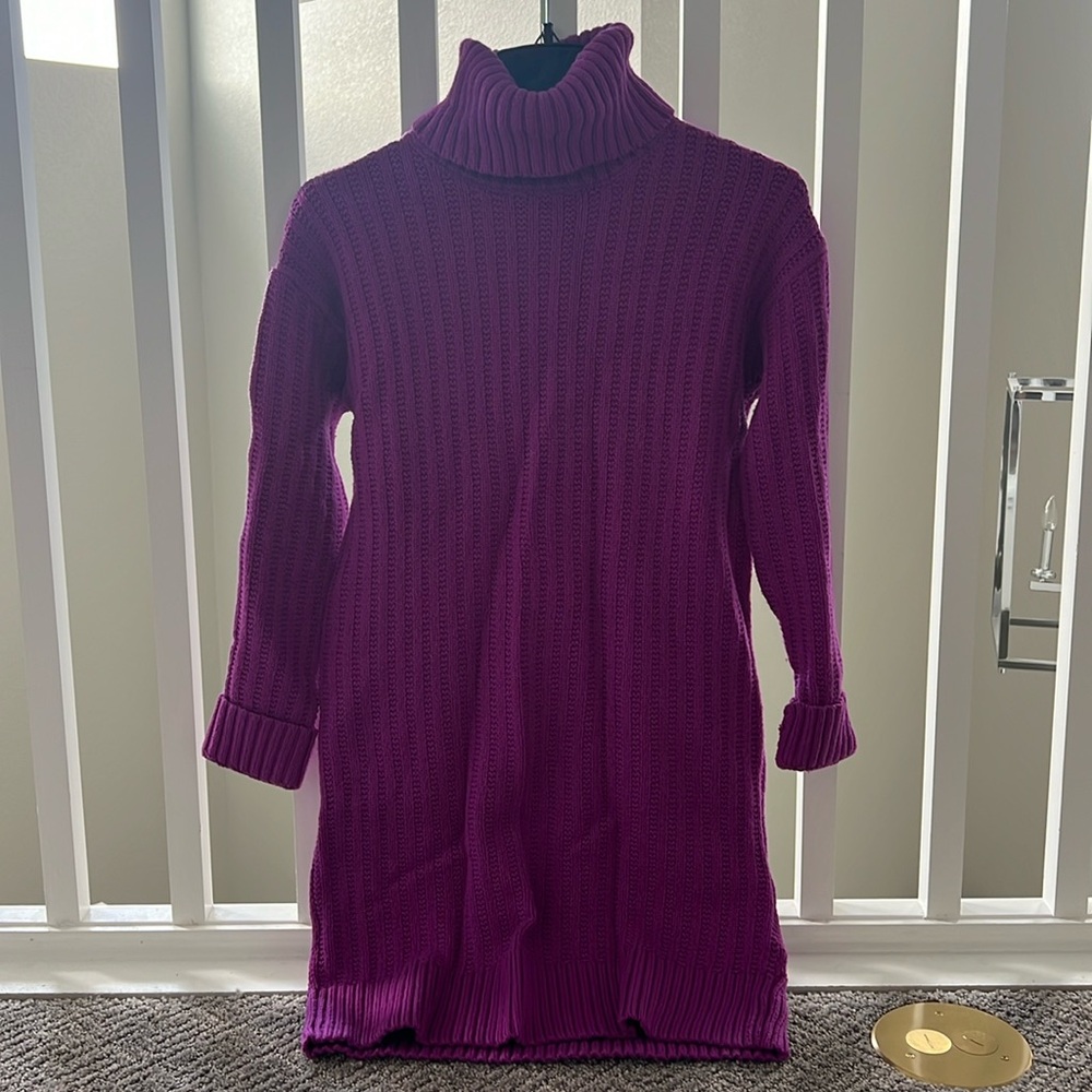 Banana Republic Fuchsia Sweat Dress